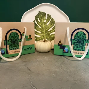 بگ شاپ هواپیما